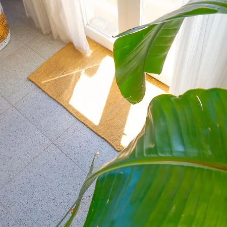 Apartment Casa Aromas - Exclusiva Cerca De La Playa - By Marina Alta Holidays